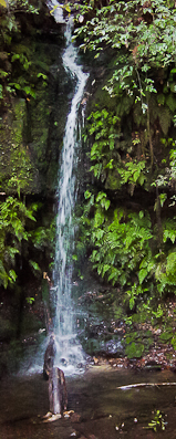 A Blue Mountain Waterfall