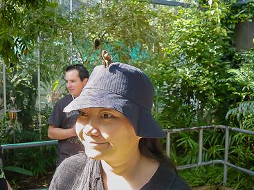 Melbourne Zoo: Inside the Butterfly Pen