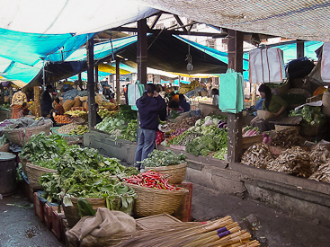 Vegetables at the Weekend Market