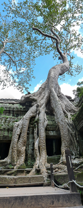 Ta Prohm Back Gate