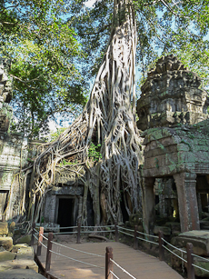 Ta Prohm Courtyard