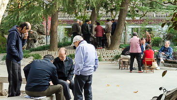 Playing Cards in Shaoxing Park