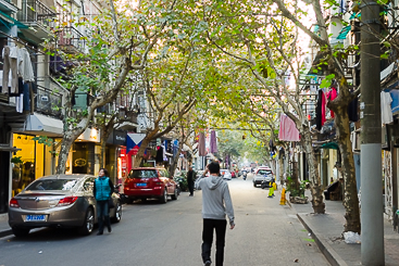 French Concession Side Street