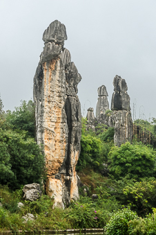 Lesser Forest Stone Pillar