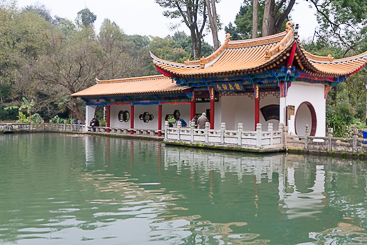 Black Dragon Pool Black Dragon Pool