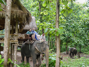 Atop the Elephant