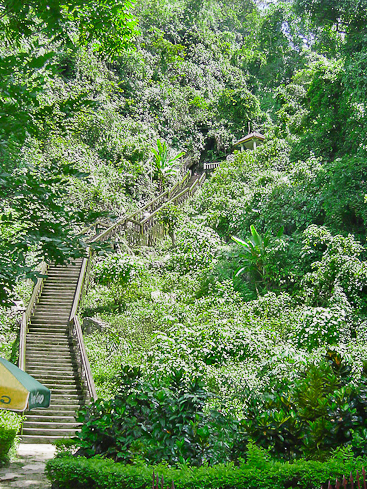 Stairway to Tham Chang