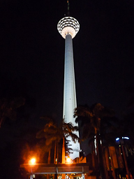 KL Tower at Night