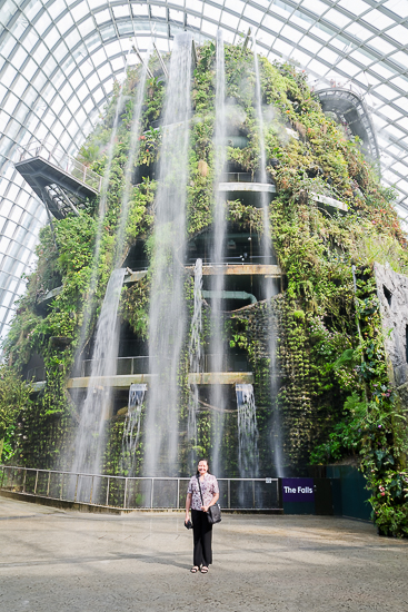 The Falls at Cloud Forest The Falls at Cloud Forest