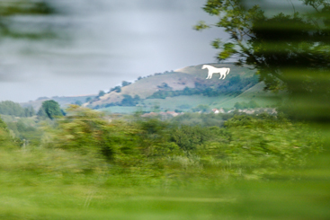 Westbury White Horse