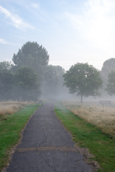 Hyde Park Morning Fog Hyde Park Morning Fog
