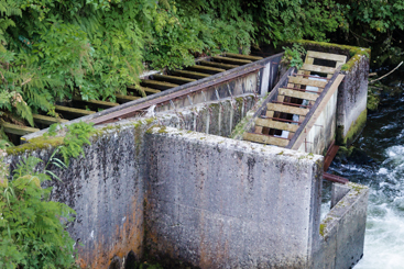 Ketchikan Creek Fish Ladder Ketchikan Creek Fish Ladder
