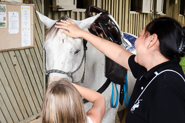 Petting the Horse